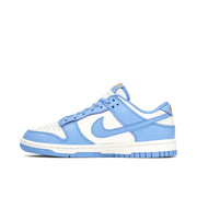 Nike Dunk Low Coast Womens